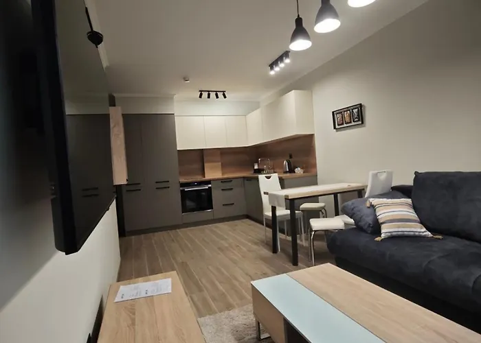 Gohome Plovdiv-apartments And 普罗夫迪夫